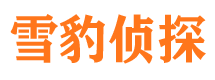 伊春私家侦探公司